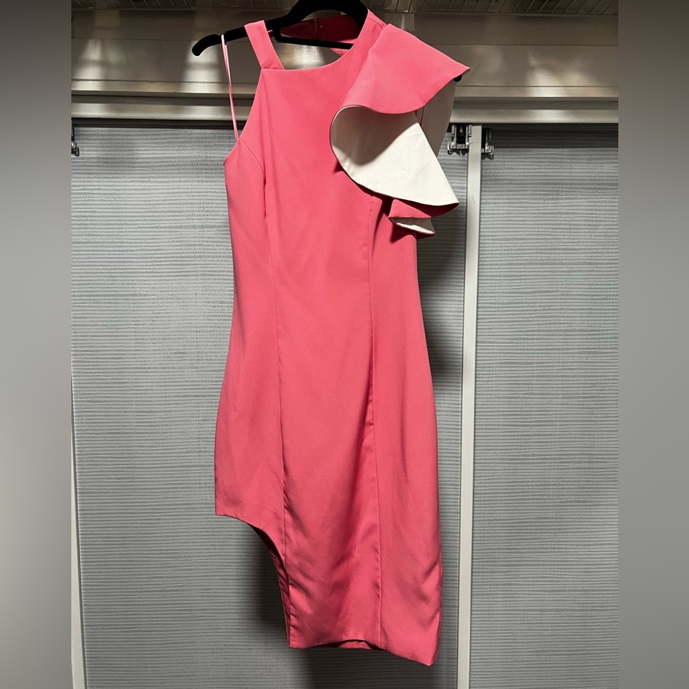 Pink Interview/Cocktail Dress